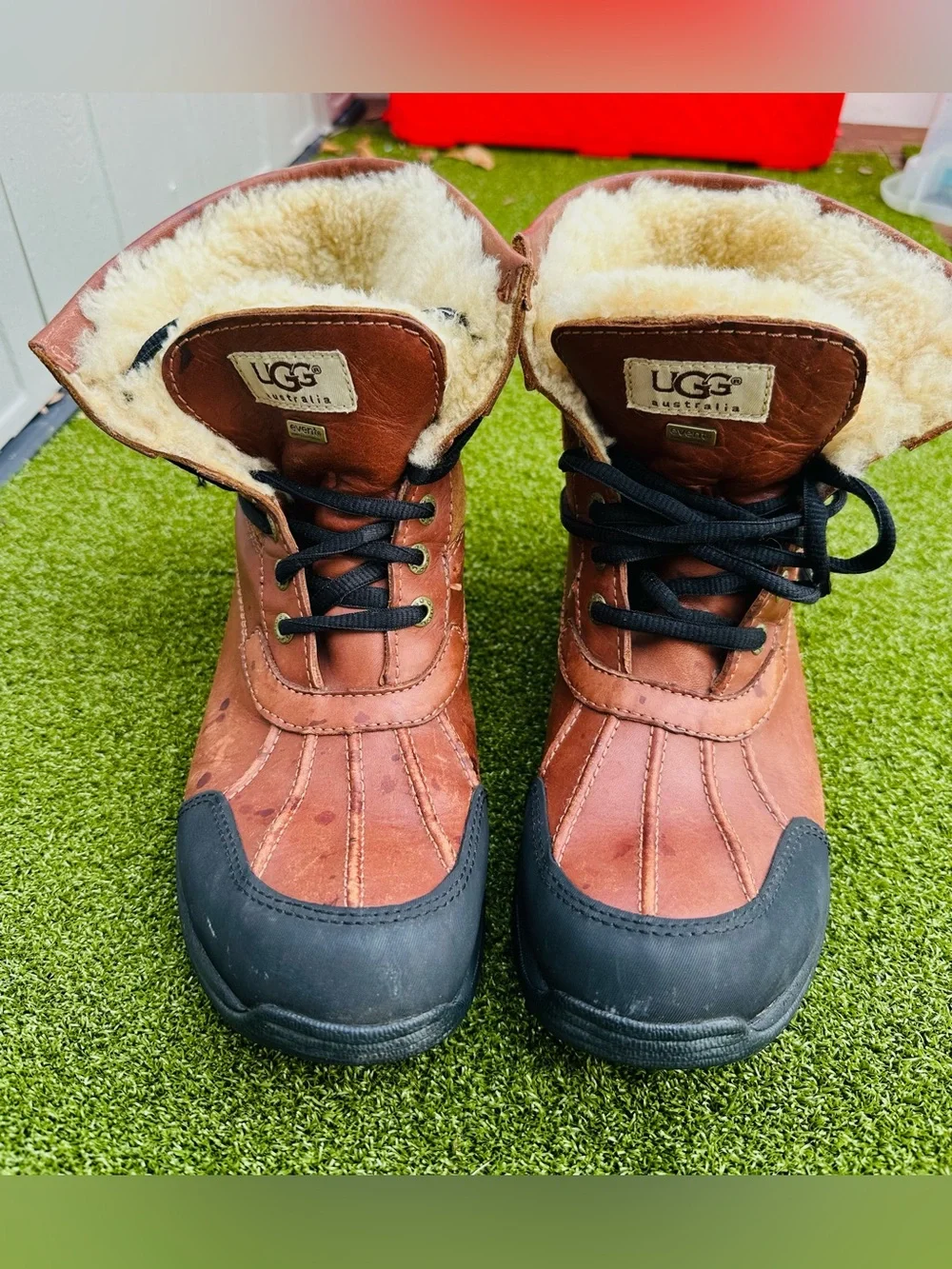 UGG men’s lace